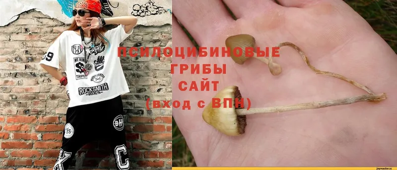 Галлюциногенные грибы GOLDEN TEACHER Феодосия